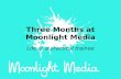 Three Months at Moonlight Media