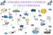 Semana Grupos Flexibles per Ciclo Primaria