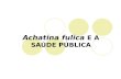 Achatina fulica 2003