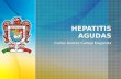 Hepatitis agudas