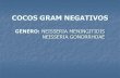 2 cocos gram negativos