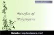 Benefits of polystyrene