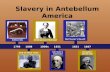 Slavery in antebellum america