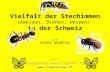 Vielfalt der Stechimmen (Ameisen, Bienen, Wespen) in der Schweiz