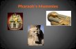 Pharaoh’s mummies