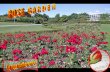Rose Garden (Nx Power Lite)