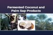 1 rich fermented coconut palm sap products