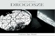 Drogosze Investment Proposal