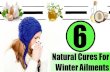 6 Natural Cures For Winter Ailments