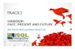 Hadoop: Past, Present and Future - v2.2 - SQLSaturday #326 - Tampa BA Edition