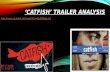 Catfish Trailer Analysis