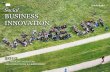 Social business: Innovation, organization and leadership