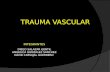Trauma Vascular Exp