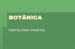 BotâNica   Histologia Vegetal