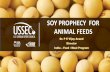 Soy Meal Utilization for Animal Feeds in India - P.E.Vijay Anand