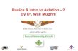 IBAAS - Introductory class 2 - Aviation Management