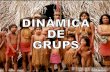 Dinàmica grups