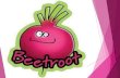 Beetroot ppt