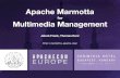 Linked Media Management with Apache Marmotta