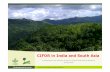 CIFOR in India and South Asia