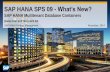 SAP HANA SPS09 - Multitenant Database Containers