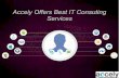 Accely Offers Best IT Consuting Services