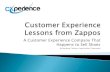 Customer Experience Lessons from Zappos