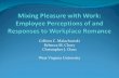 Mixing Pleasure With Work: Employee Perceptions of and Responses to Workplace Romance