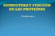 Clase estructura y función de las proteínas