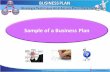 5.Sample of Business Plan
