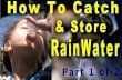 How to Catch & Store Rainwater