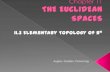The Euclidean Spaces (elementary topology and sequences)