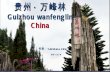 中国贵州万峰林（Guizhou wanfenglin at china）