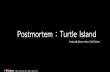 Turtle island postmortem
