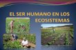 El ser humano en Los Ecosistemas Sandra V