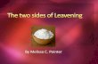 The two sides of leavening