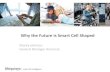Ubiquisys Smart Cells CTIA Wireless 12