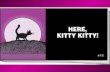 Here, Kitty Kitty!