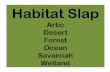 Habitat slap powerpoint