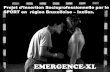Emergence Xl