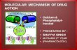 Molecular  mechanism  of drug  action