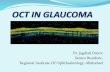 Oct in glaucoma
