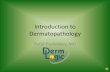 Introduction to dermatopathology
