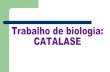 Catalase 2