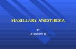 Maxillary Anesthasia