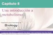 Biology capitulo8- Una introducción al metabolismo