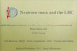 M. Nemevsek - Neutrino Mass and the LHC