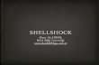 IstSec'14 - Onur ALANBEL - ShellShock