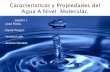 Caracteristicas y propiedades del agua a nivel molecular