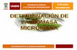 Determinacion de biomasa_microbiana